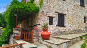 Hotels in Vizitsa